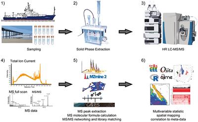 High-Resolution Liquid Chromatography Tandem Mass Spectrometry Enables Large Scale Molecular Characterization of Dissolved Organic Matter